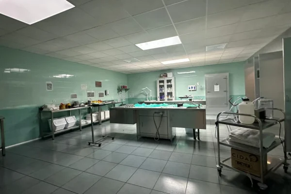 escenografia-muertos-sl-zona-servicioproes (8)